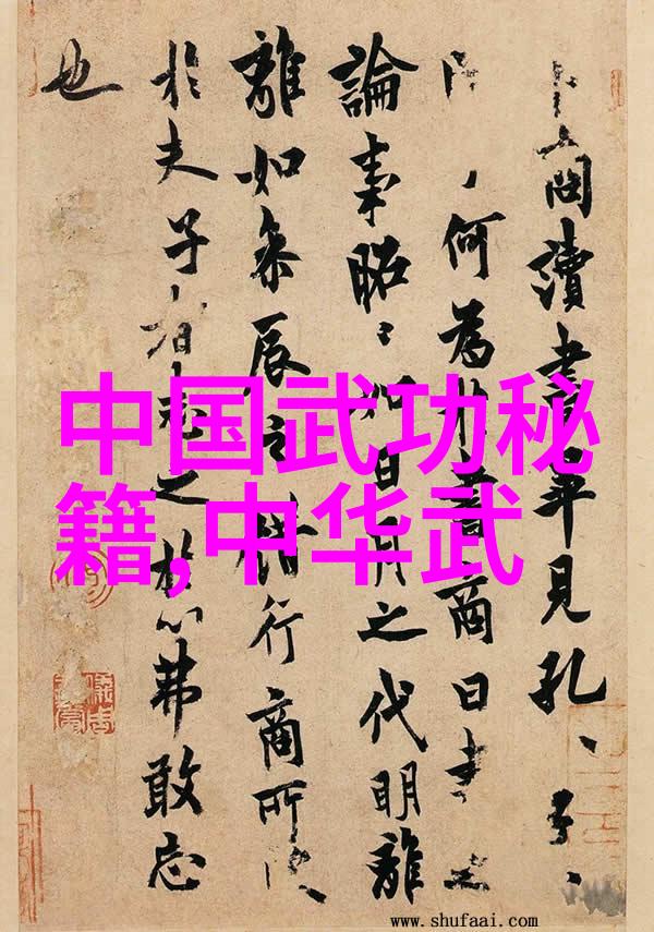 张圣麒的拳法十六招式图解你真的懂得了定势吗