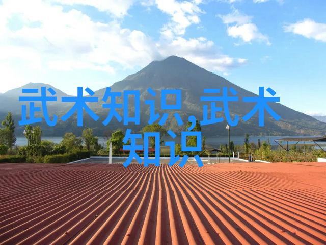 武林秘笈揭秘中国武术十大门派陈家小架太极拳轻功如影随形