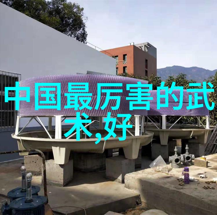 李和生体会古代武术内功在自然中的训练方法