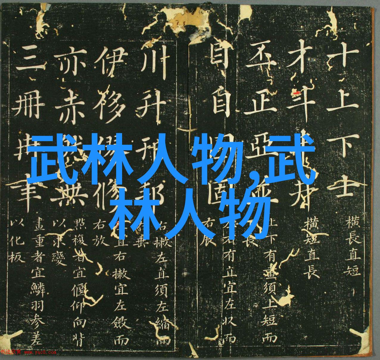 武术训练学习中国功夫的旅程