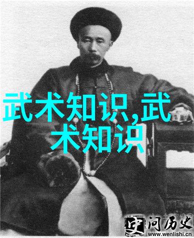 武林秘籍录揭秘千年绝学之谜