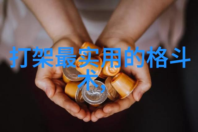 武道秘笈全集中华内功外化的艺术之冠