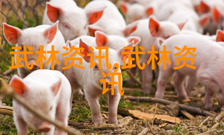 剑影隐秘古武功法秘籍