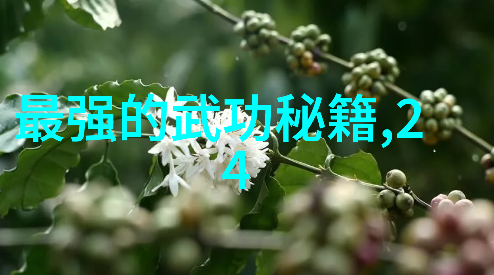 死或生沙滩排球3上海男排主帅沈琼永不放弃的遗产