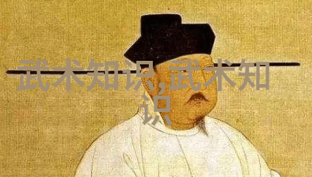 武学秘籍解密揭秘拳法之谜