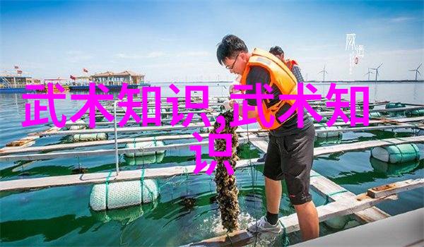 诗意公会梦幻织女团浪漫的编织之旅