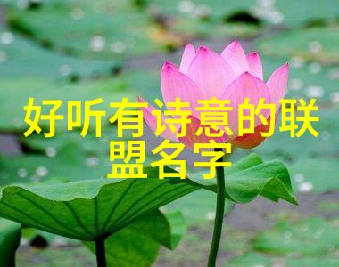 危害与误区揭开那些被禁止练习的气功面纱