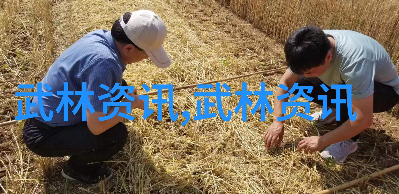 云魔门穿越天际的拳影震撼宇宙的秘密力量
