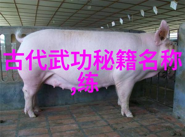 探索自学武术之路适合哪些人群