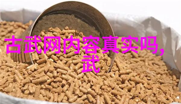 武学秘籍解读剖析内丹修炼之术与外家拳法的深度融合