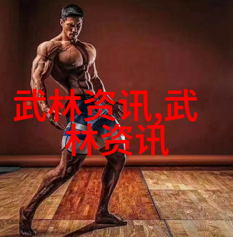 武林秘笈六字法诀的辉煌篇章