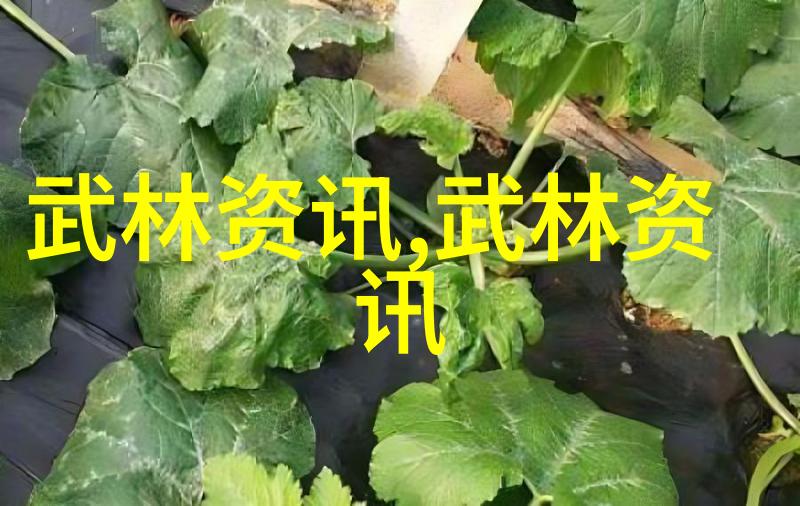 笑声满堂会幽默趣味的社交俱乐部