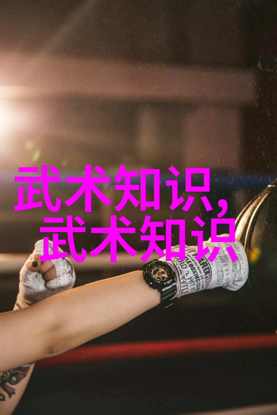 空手道与中国的少林寺派武术相比两者各自有什么独特之处