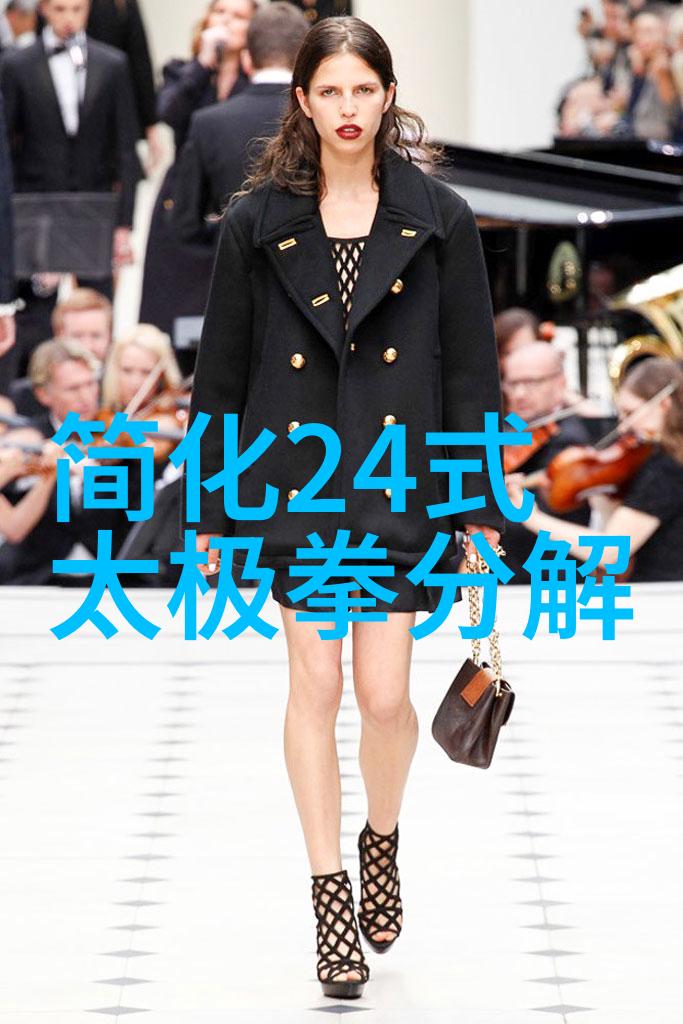 太极拳24式动态解析探索内外兼修的武学艺术