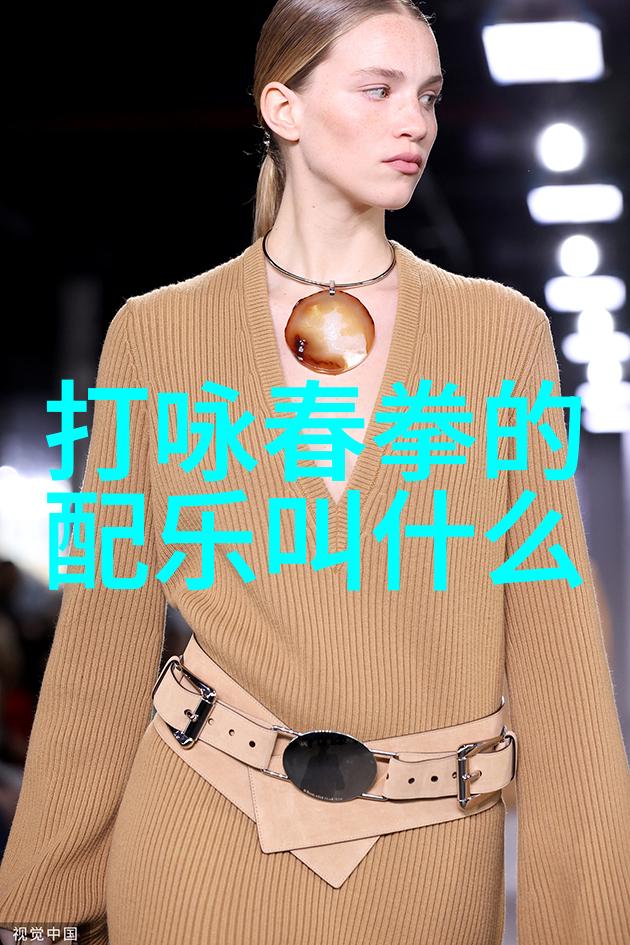 太极拳24式详解掌握传统中国武术中的核心动作