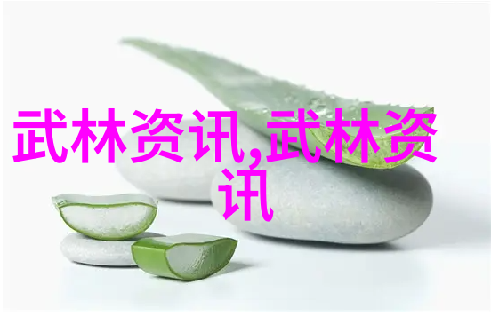 武林最强门派五行通臂拳之谜