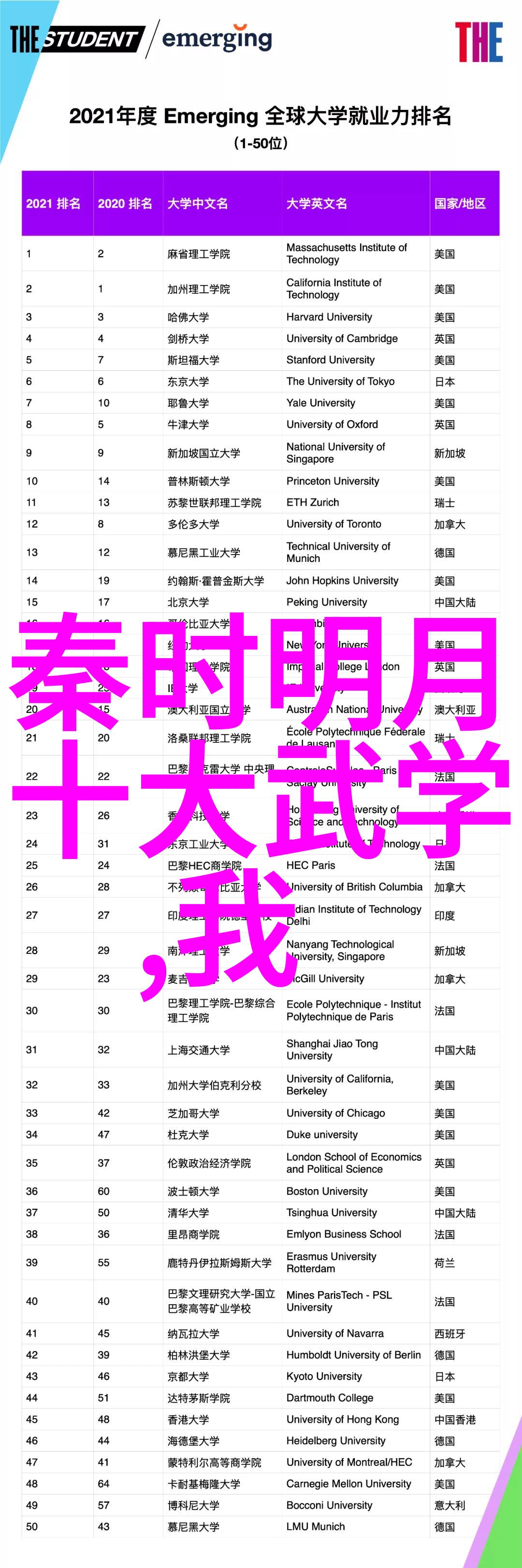 杨志英的四十式太极拳视频教程掌握古老武术的精髓