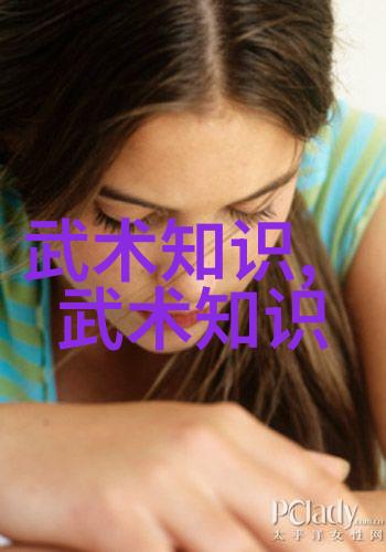 武学天下分析各大门派之间的技术差异