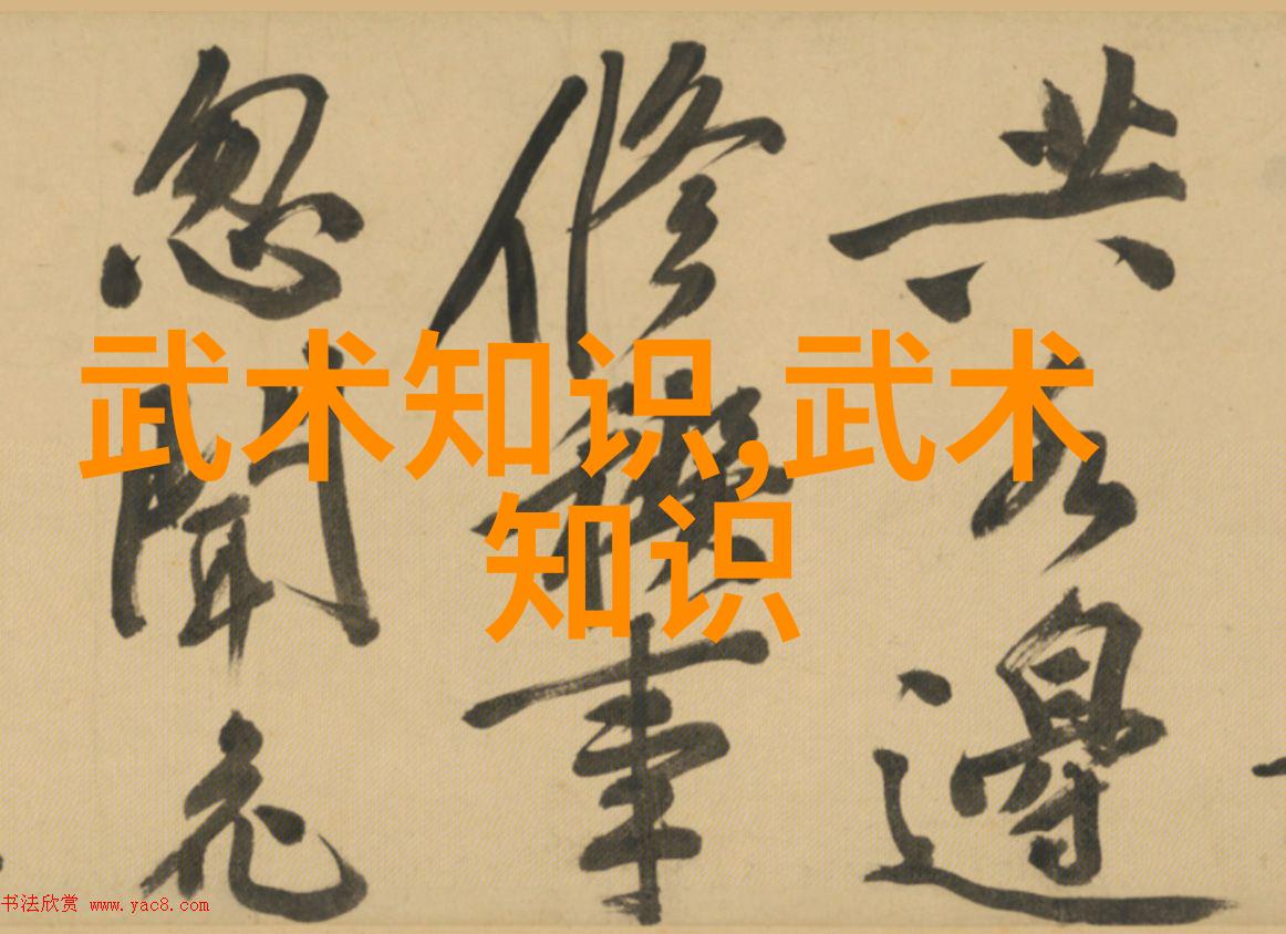武术刚开始练什么-初学者武术实战指南从基础招式到自我提升