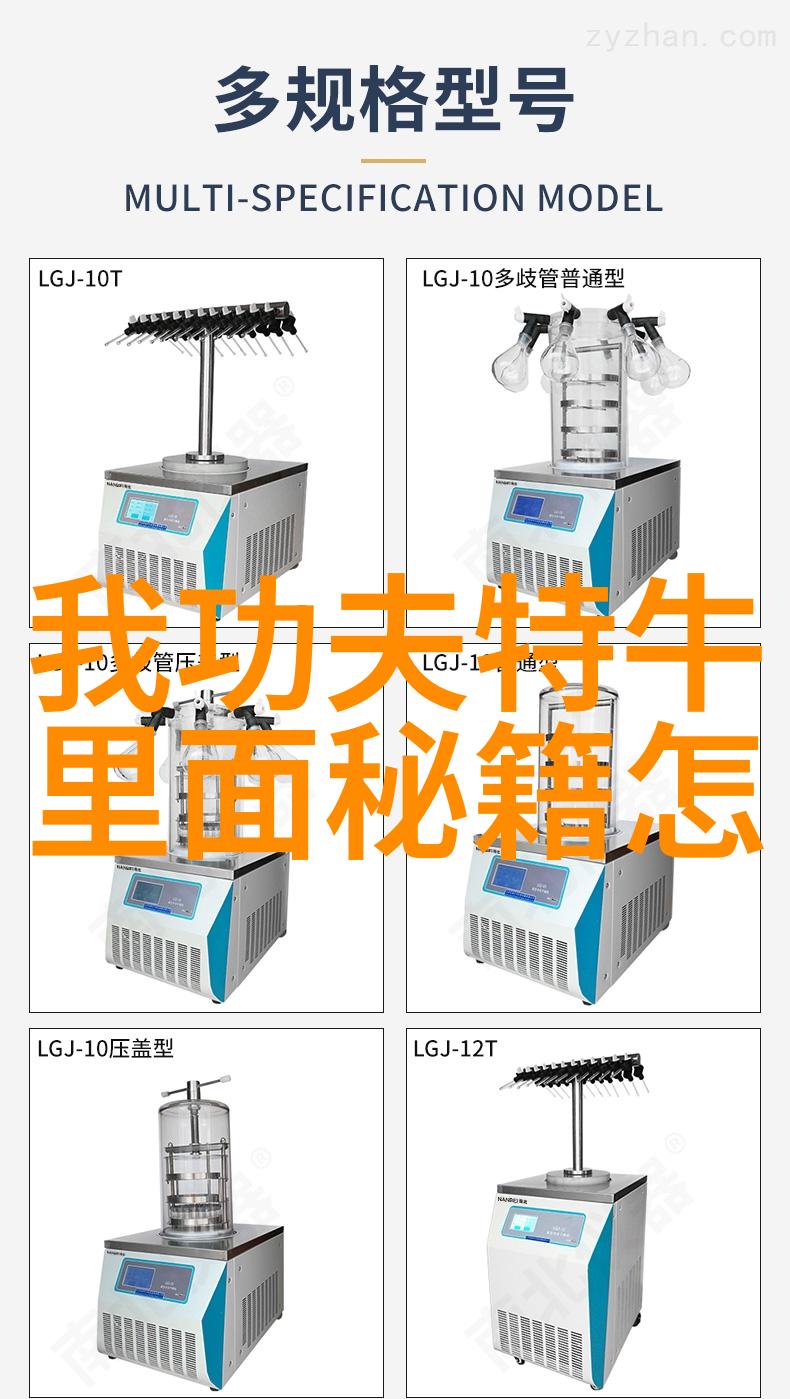 屠龙记中的二十一个门派中祁式五行通背拳犹如一位老者静默而坚定背后藏着无尽的武学深度