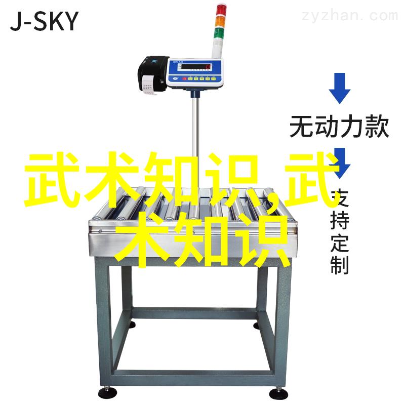 碾脚在24式太极拳中如同舞蹈指挥者引领动作的流畅与和谐