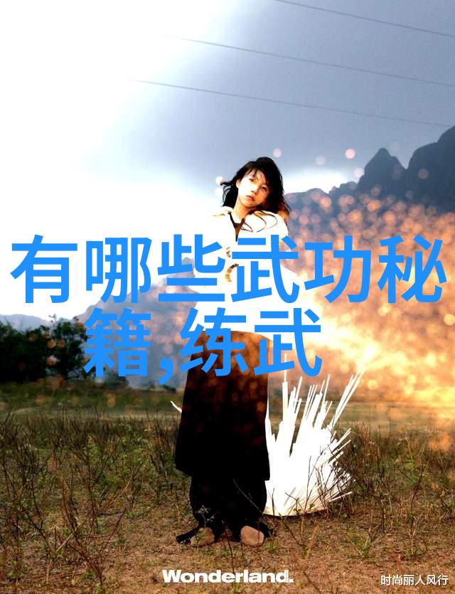 拳法十六招式图解掌握武术基本技巧的秘诀