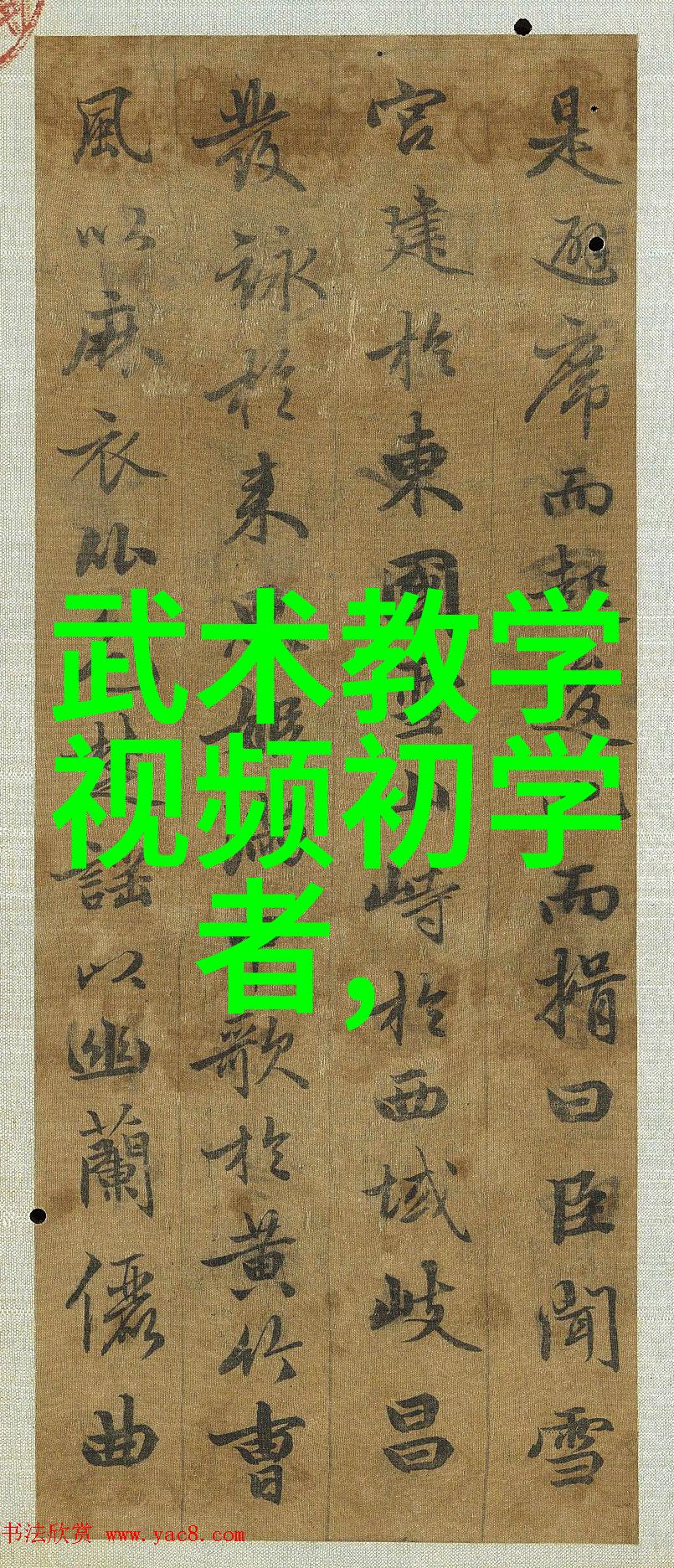 鲜花般的英雄研究历史上的几位杰出女性武林高手