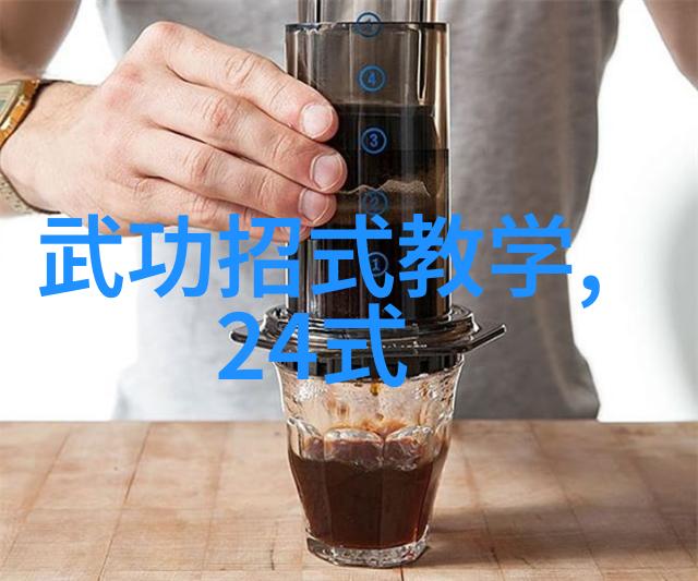 太极拳24式解析探索内外合一的精髓