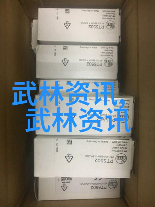 武功秘籍网揭秘江湖武林的传承之道