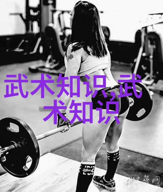 跨国交流会在武学领域带来了什么新变化