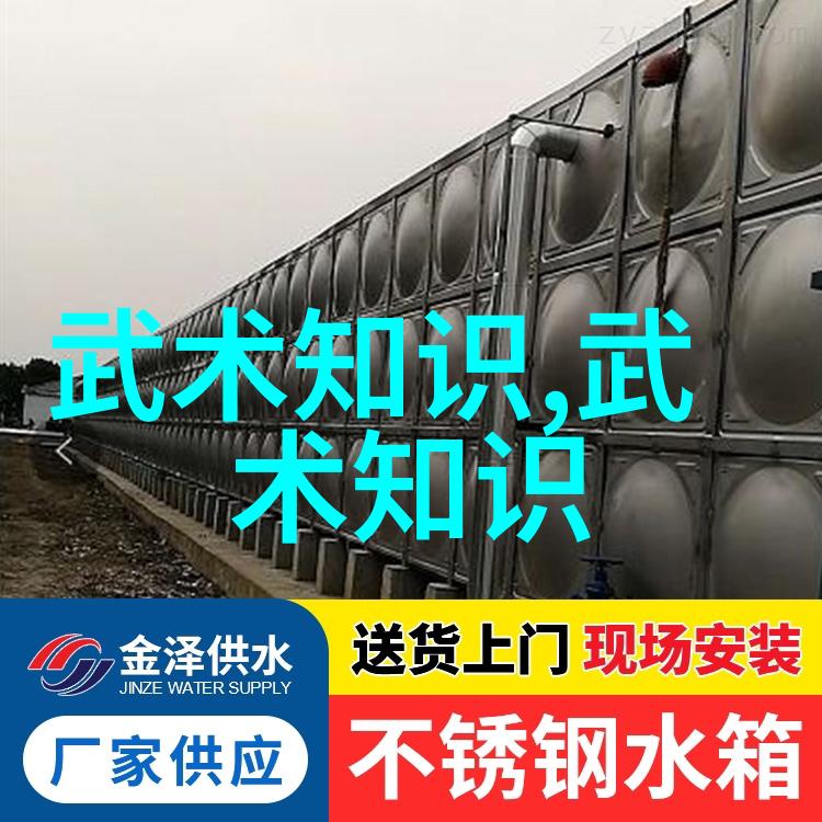 心灵碰撞南派太极拳寻找最强的武术之道