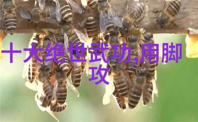歌曲长廊古风势力共享的美妙时光