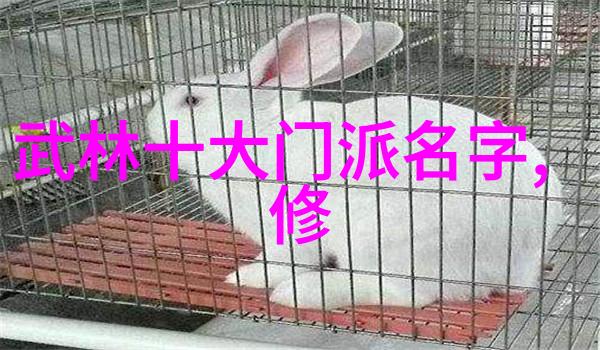 揭开古风帮会名号的神秘面纱