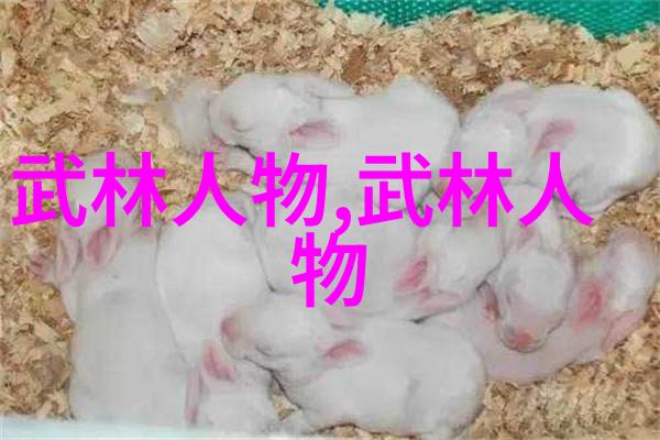 武林秘籍揭秘千手神功与独步江湖的绝技