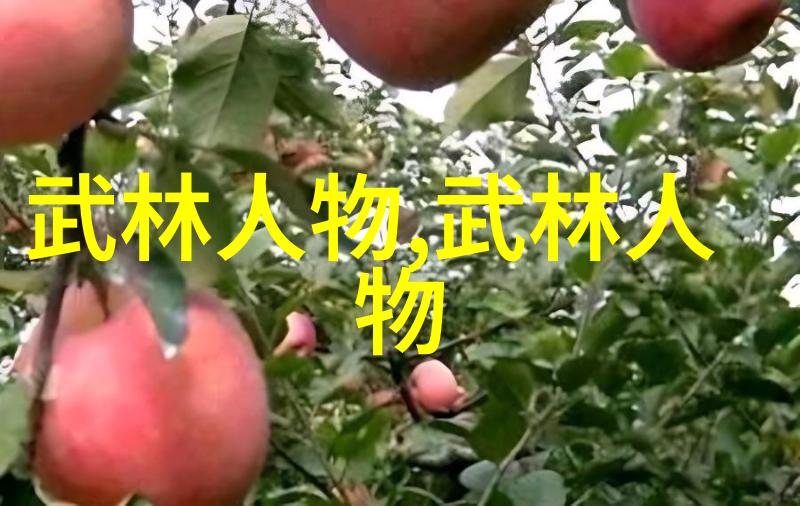 邱慧芳教授24式太极拳全套教学古典武术练习方法