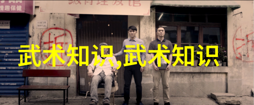 太极拳24式自学图解我来教你怎么一招一个姿势