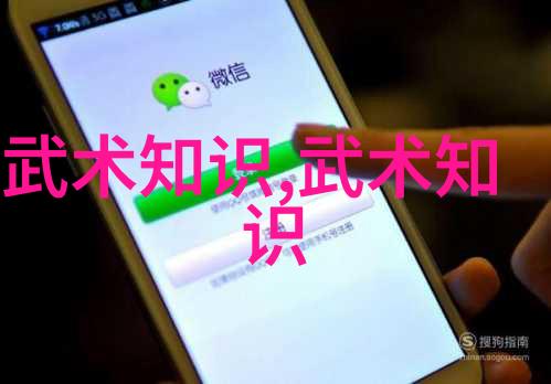 笑傲江湖陈家小架太极拳门派中的佼佼者