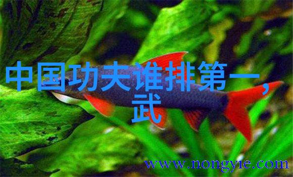星辰联盟守护黎明的光芒