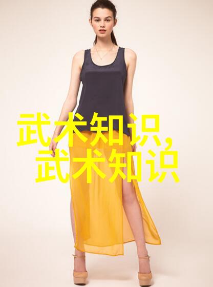 探秘古籍中的武学宝藏揭秘老武术书籍的奥义与魅力