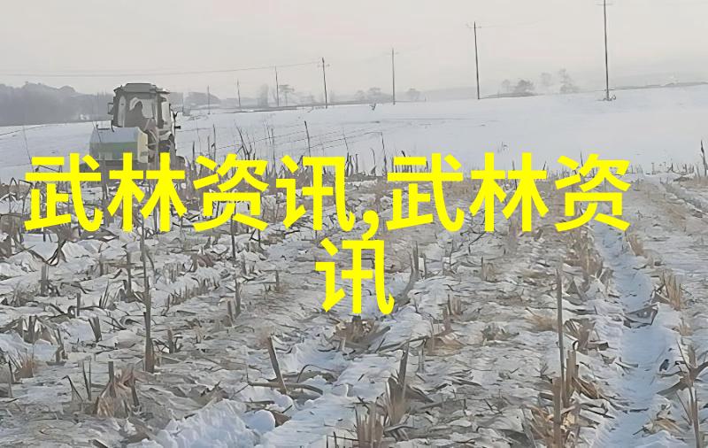 上海优太极馆进行冬日太极晨练