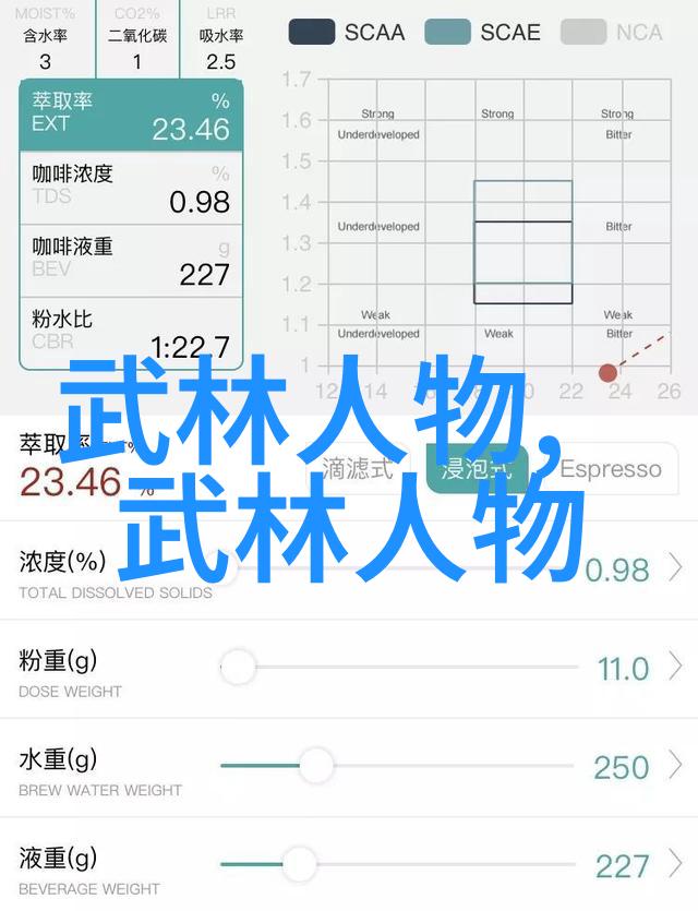 华山派哪个门派武功最厉害物品展示