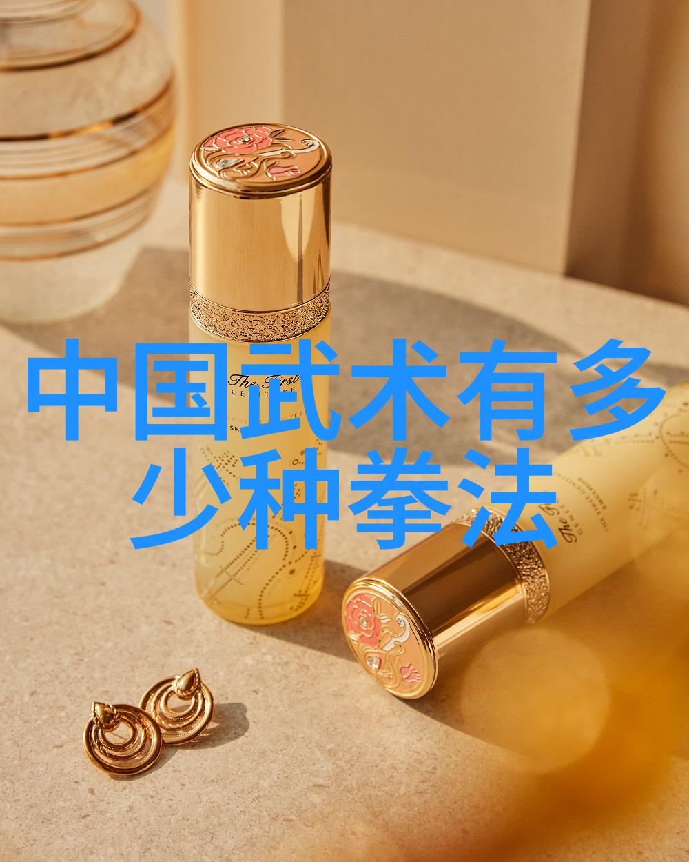 中国武术十大拳法排名揭秘武林高手的绝技之选