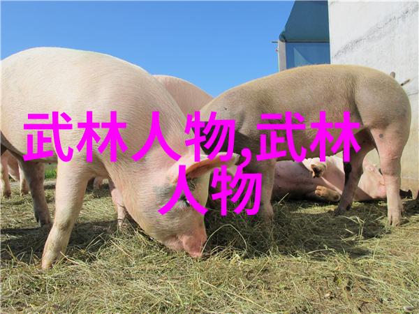 武术探秘我来教你十三式太极拳分解动作轻松掌握这门古老艺术