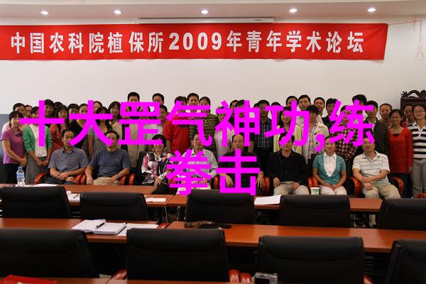 古风帮会之谜掠影中的传说与秘密