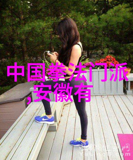 武术盛世揭秘武术活动名称大全的奥秘