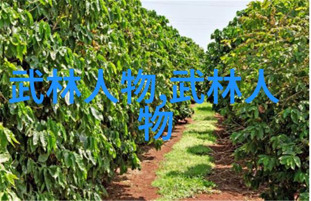 武道霸主揭秘天下第一高手