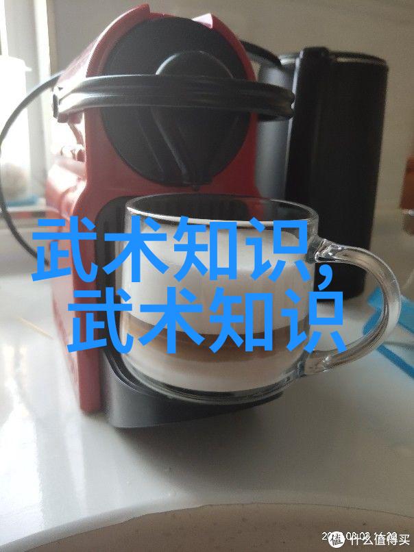 老将出山新阵容展现当代推广传统功夫项目分析