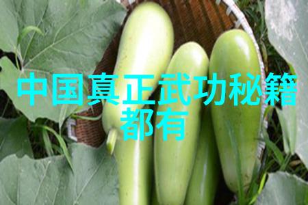 陈式秘传太极拳内功自然中的基础武功秘籍