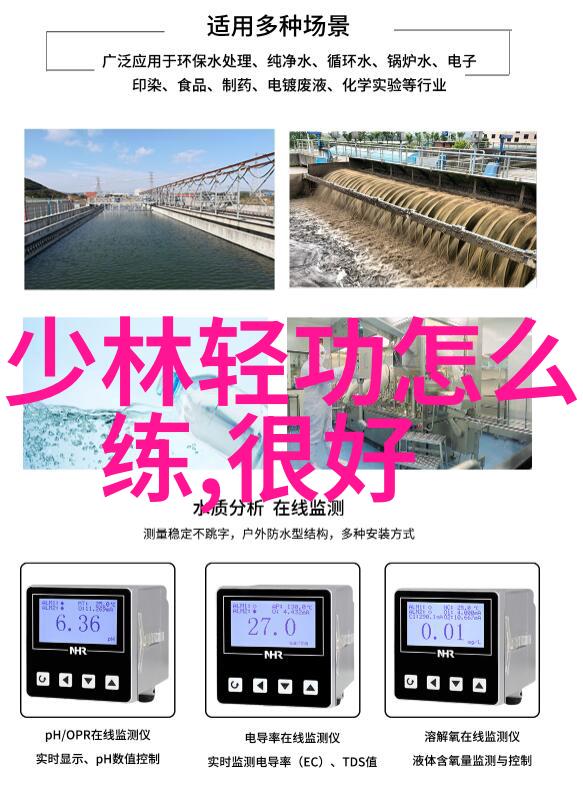 紫霄幢武当太虚拳穿越千年传承古韵