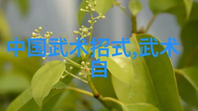 笑傲江湖里的少数民族英雄们他们来自于哪些独特的地理环境和文化背景下的古代武林小道